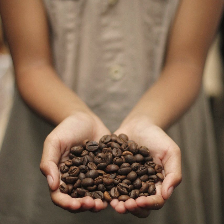 Manos sosteniendo un puñado de granos de café